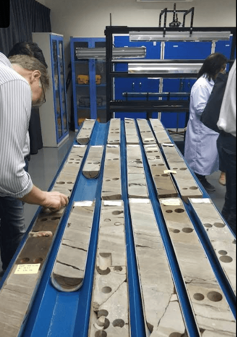 Image of Warehouse Workflow & WMS Roadmap